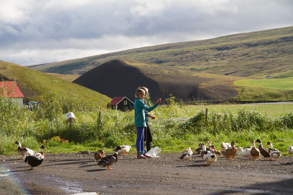 Guesthouse Hof In Vatnsdalur Hof i Vatnsdal Екстер'єр фото