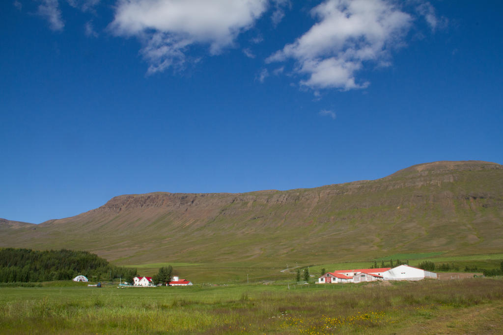 Guesthouse Hof In Vatnsdalur Hof i Vatnsdal Екстер'єр фото