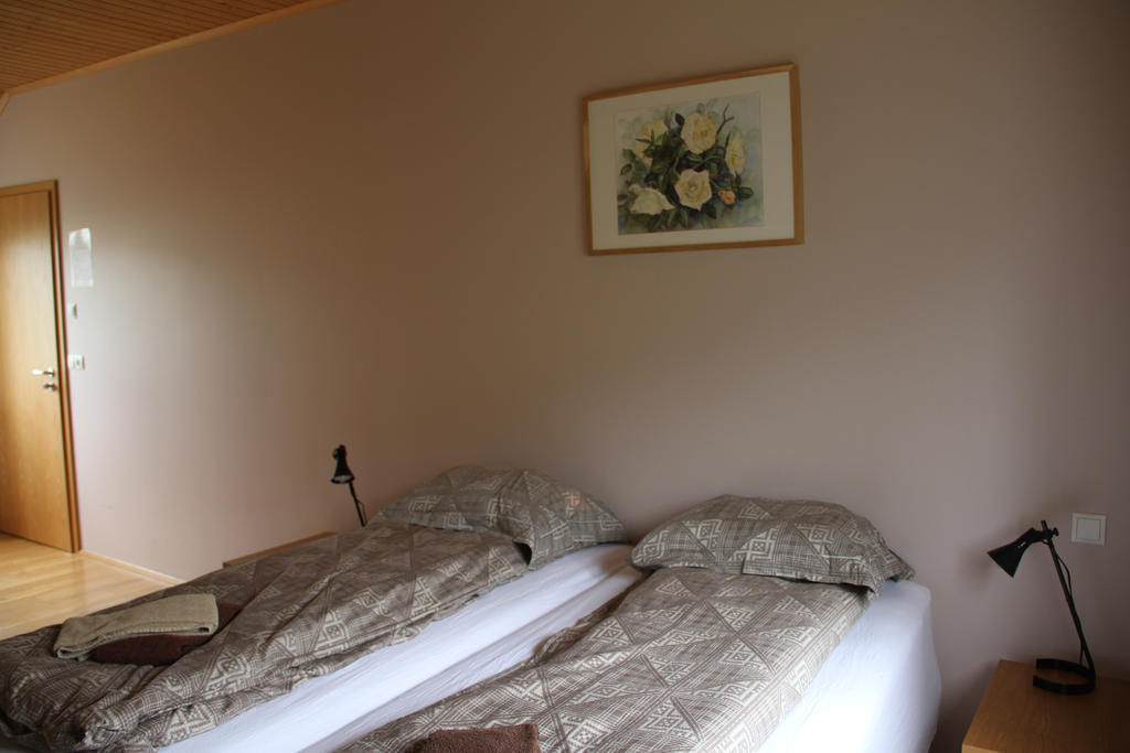 Guesthouse Hof In Vatnsdalur Hof i Vatnsdal Номер фото