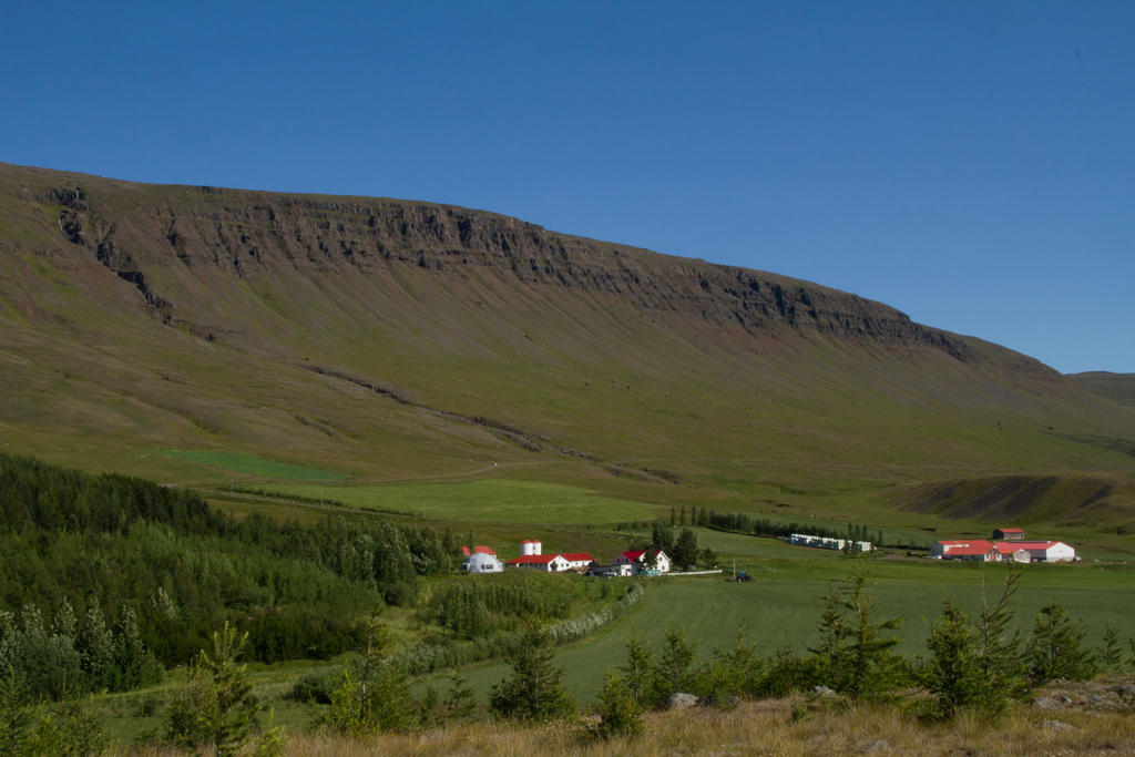 Guesthouse Hof In Vatnsdalur Hof i Vatnsdal Екстер'єр фото