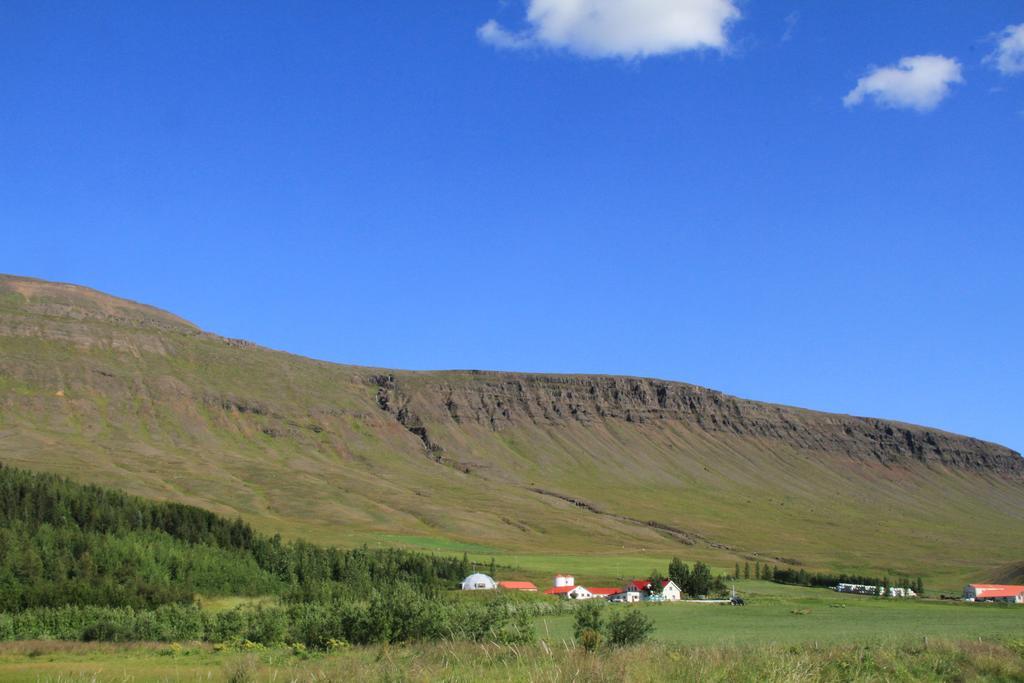 Guesthouse Hof In Vatnsdalur Hof i Vatnsdal Екстер'єр фото
