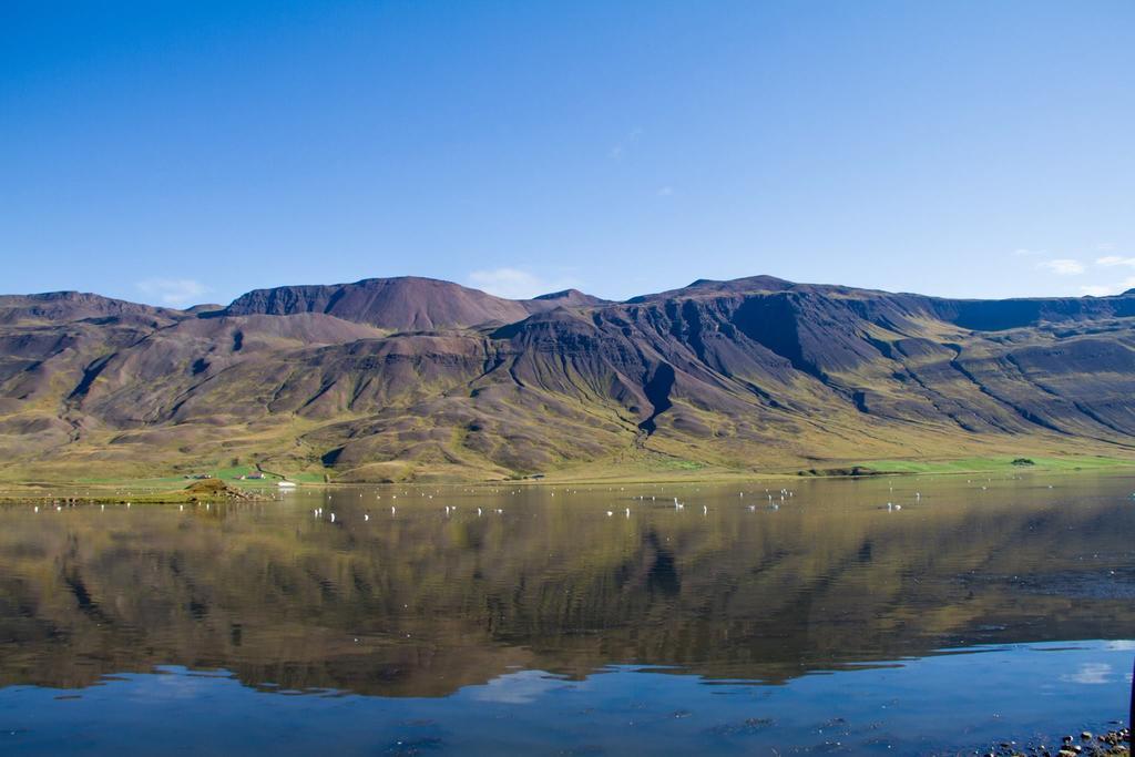 Guesthouse Hof In Vatnsdalur Hof i Vatnsdal Екстер'єр фото