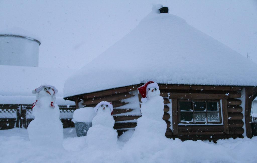 Guesthouse Hof In Vatnsdalur Hof i Vatnsdal Екстер'єр фото